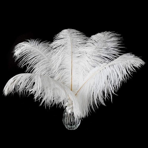 Large white ostrich feathers - large,