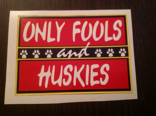 Only fools and - x,