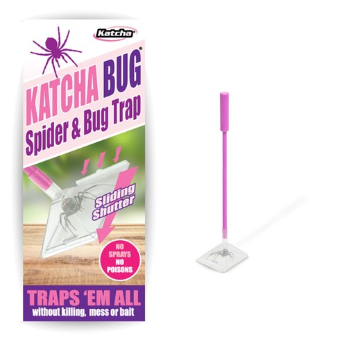 Humane spider catcher - spider,