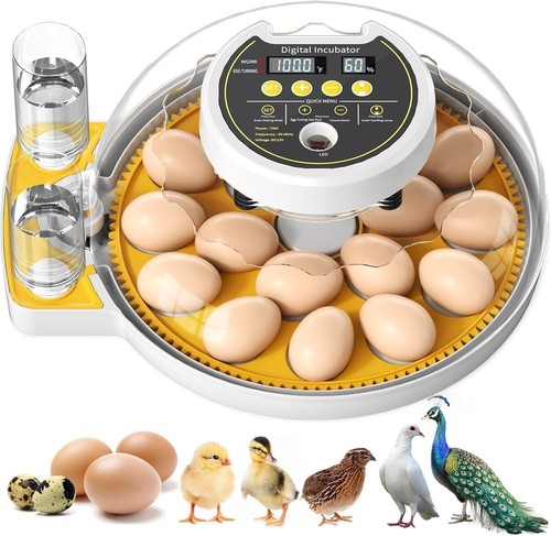 Triwind automatic egg - triwind,