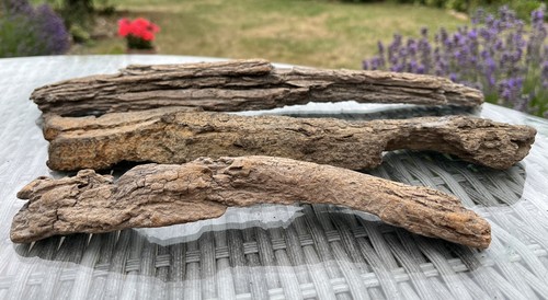 Large natural bark - natural, driftwood