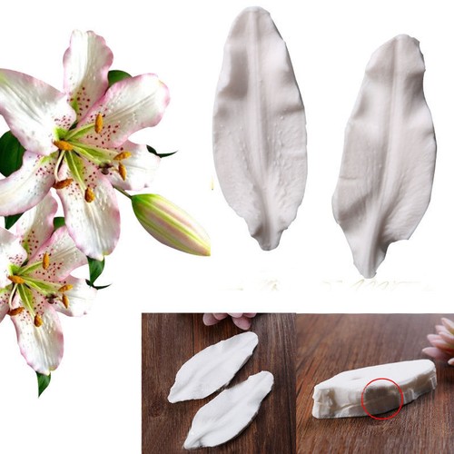 Lily petal flower - petal, leaves