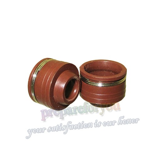 Valve stem seals for - valve,