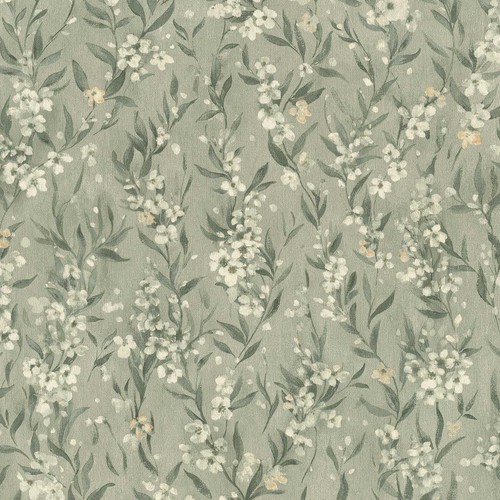 Rasch cherry blossom trail - cherry,