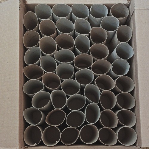 Cardboard toilet tube cores - tube,