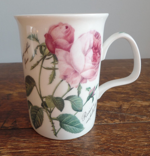 Roy kirkham redoute roses - kirkham,