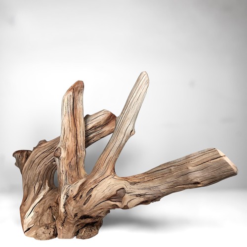 Manzanita driftwood - 25",