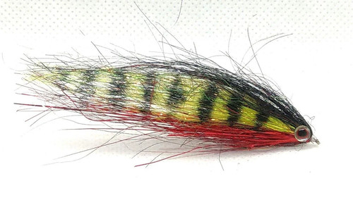 Pack perch fry - perch,