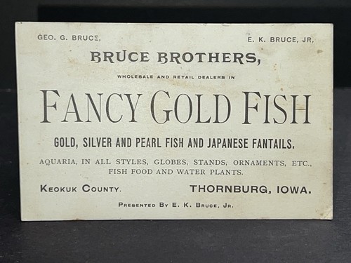 Antique business card - antique,