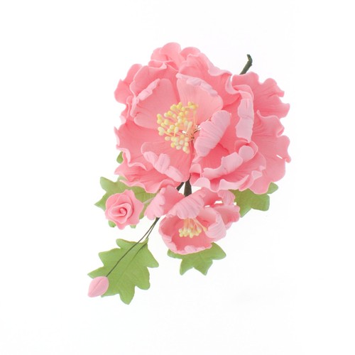 Cake flowers gumpaste - cake, –
