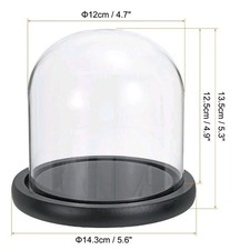 4.9"x4.7" Clear Cloche Glass