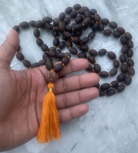Lotus seed kamal - seed, gatta