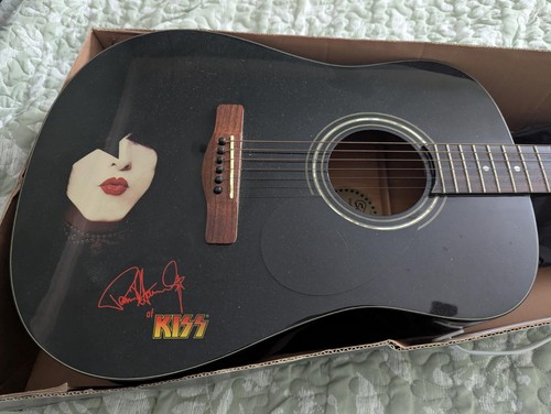Silvertone paul stanley dark - paul,