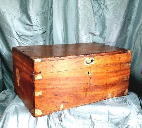 Rare camphor wood campaign - a,