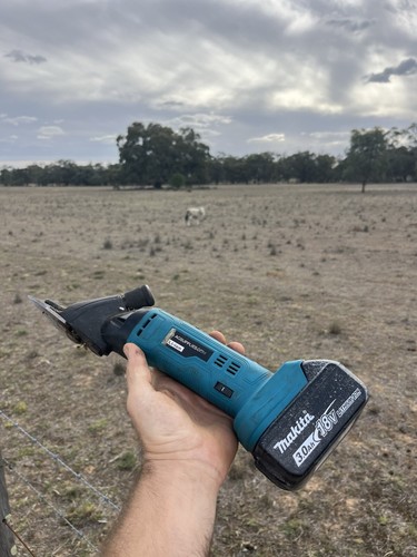 Makita sheep shearing - makita,