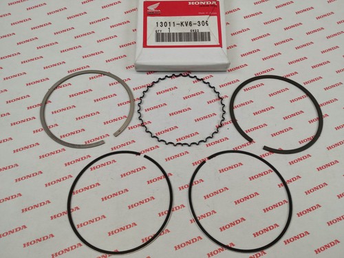 Segment cote std xr250 95 - segment, 86/95