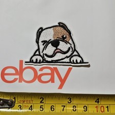 STAFFORDSHIRE BULL TERRIER