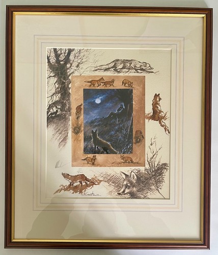 Fox watching mick cawston - -,