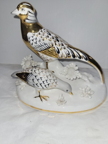 Staffordshire golden pheasants - staffordshire,