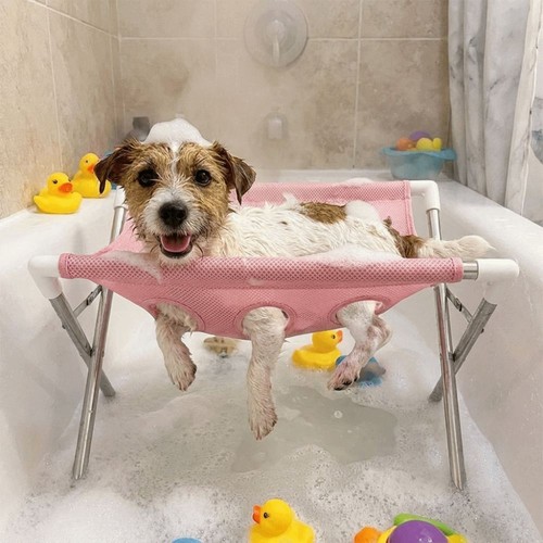 Dog cat grooming - cat, stand