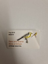 Rare & Scarce Birds Of Britain