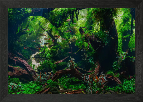 Hanging gardens aquarium - hanging,