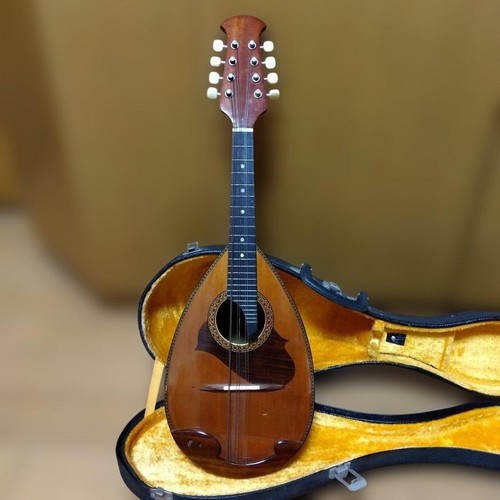Suzuki 215 mandolin - violin, 8
