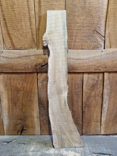 Live edge holly - live,