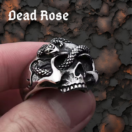 Vintage snake skull - vintage,