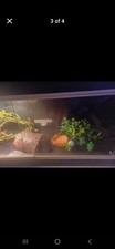 Vivarium Habistat Reptile