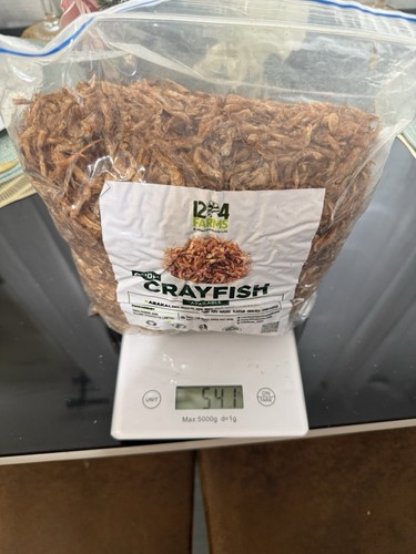 Farms oron crayfish - 12,