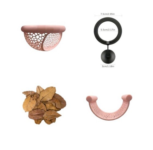 Betta fish aquarium bundle - fish,