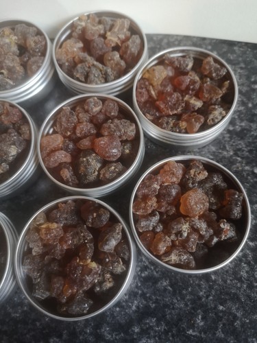 Rare organic socotra kua - organic,