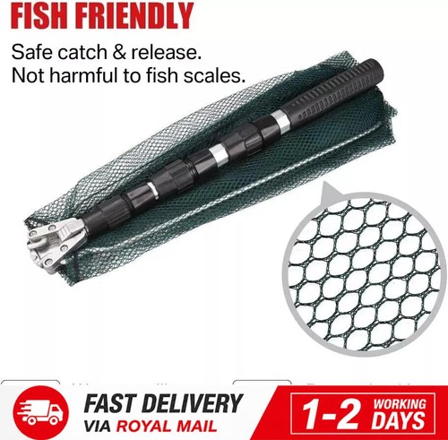 Landing net telescopic - landing,
