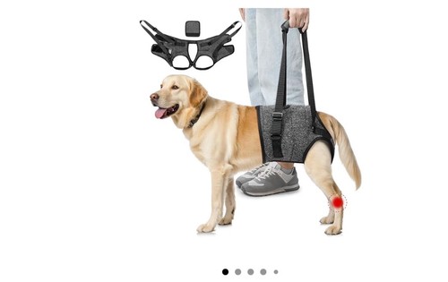 Slowton dog lifting harness - dog,