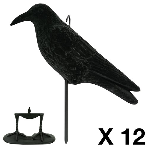 Nitehawk full body - x,