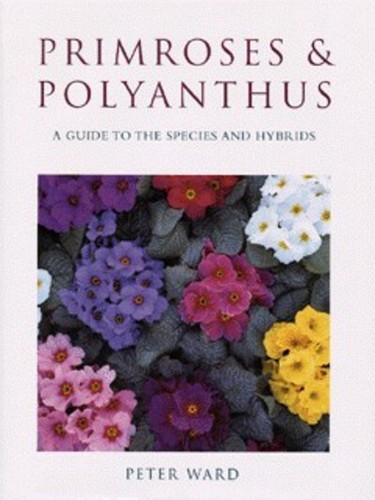 Primroses and polyanthus