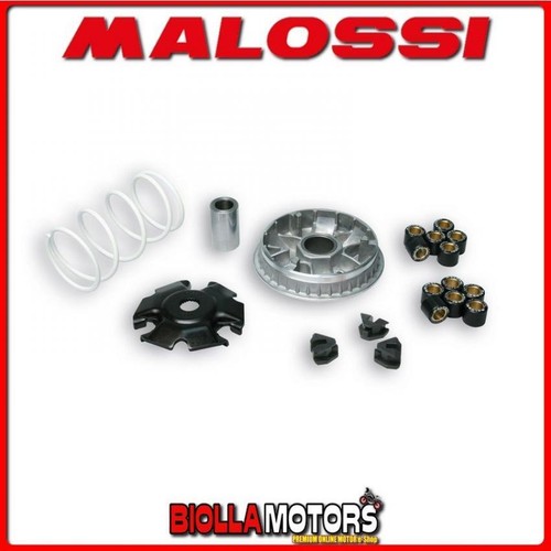 5111885 variator malossi - variator,