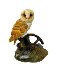 Barn Owl on Wheel Russell