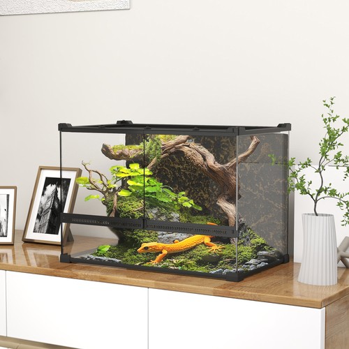 Glass terrarium with - glass, stone