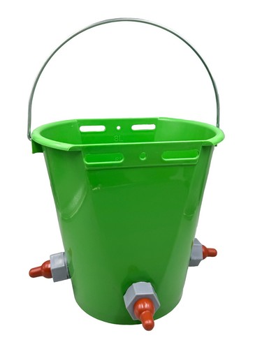 Lamb milk feeding - milk, bucket