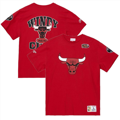 Chicago bulls men - bulls, t-shirt