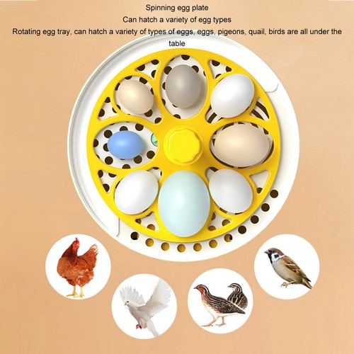 Egg incubator poultry hatching - incubator,