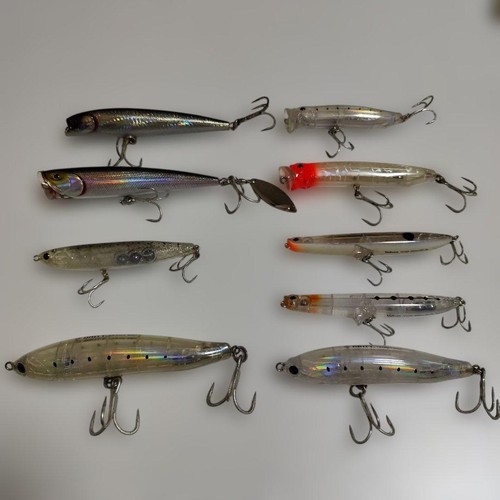 Tackle house daiwa topwater - tackle,