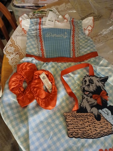 Wizard dorothy costume - of,