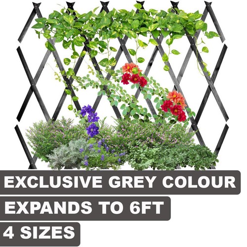 Expanding grey wooden trellis - grey,