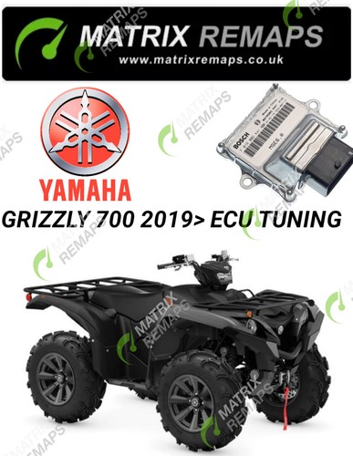 Yamaha grizzly 700 ecu - 700,