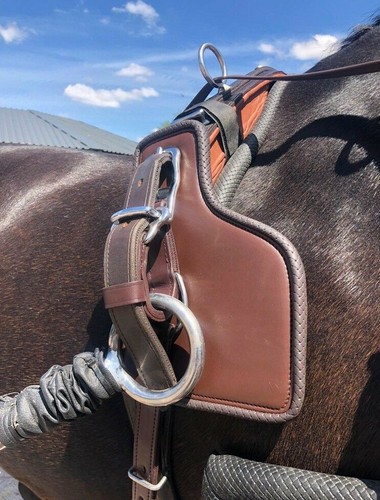 Ideal equestrian driving - ideal,