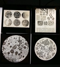 4 Antique Magic Lantern Slides