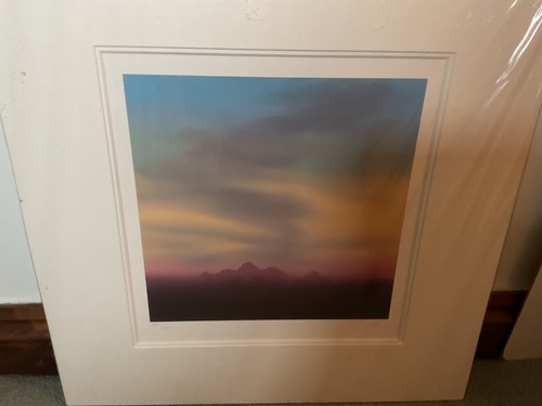 Lawrence coulson lonely sky - coulson,